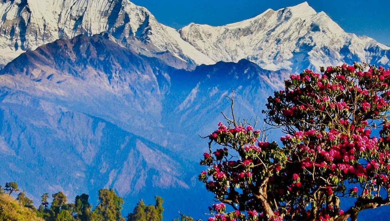 Poon Hill & Ghorepani 3 Day Hike