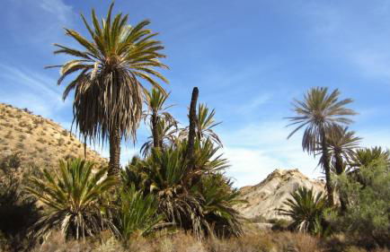 Casa Cueva Calatrava - Foto 32