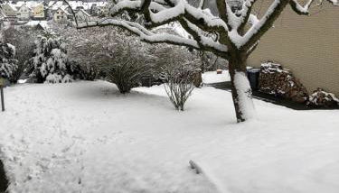 Ferienwohnung Brigitta - Foto 4