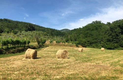 Lunigiana Experience - Foto 16