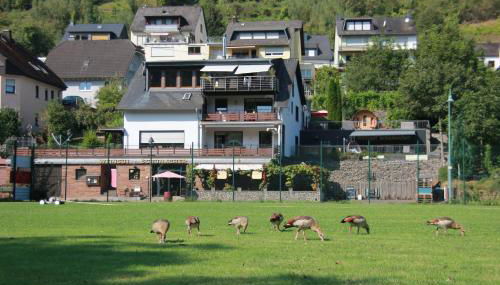 Weingut Schumacher - mit privatem Saunabereich - Foto 3