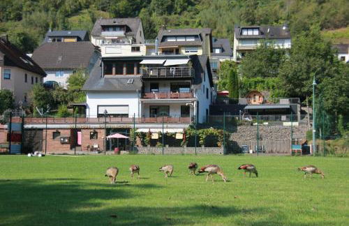 Weingut Schumacher - mit privatem Saunabereich - Foto 3