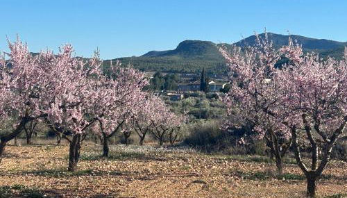 Casa Miranda - Foto 4