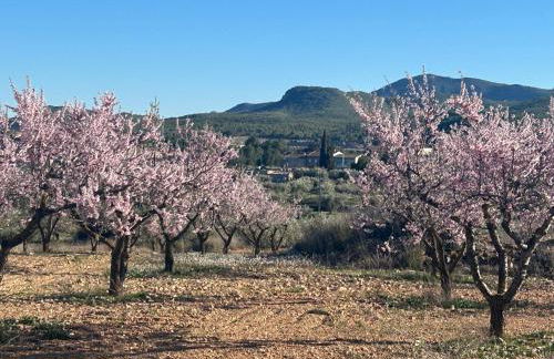 Casa Miranda - Foto 4