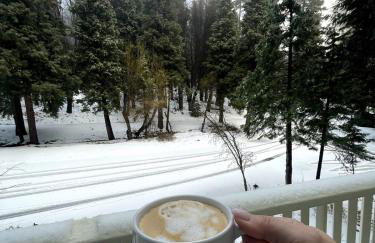 Woodsy Chic Family-Friendly Spacious Getaway - Foto 44