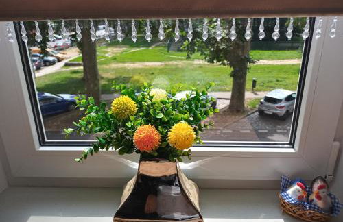 Apartament B & S - Free Garage Parking - Foto 9