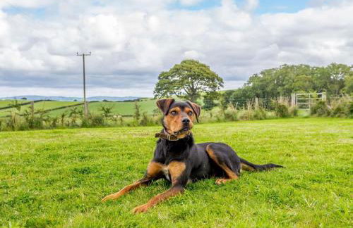 4 Bed in Denbigh oc-78960 - Foto 26