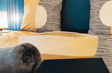 Appartement-Paris-Disney-Terrasse-Jardin-parking - Foto 9