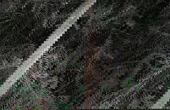 Familiehuis Dolve - Photo 30