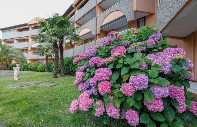 TERRASSES DE BORDA - Foto 20