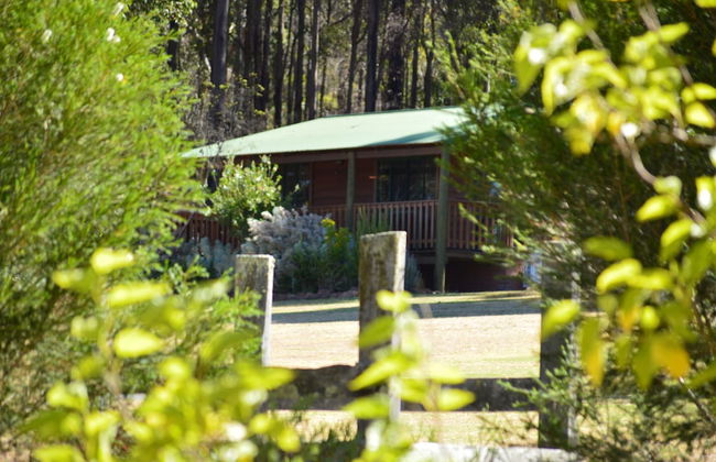 Diamond Forest Farm Stay - Foto 1