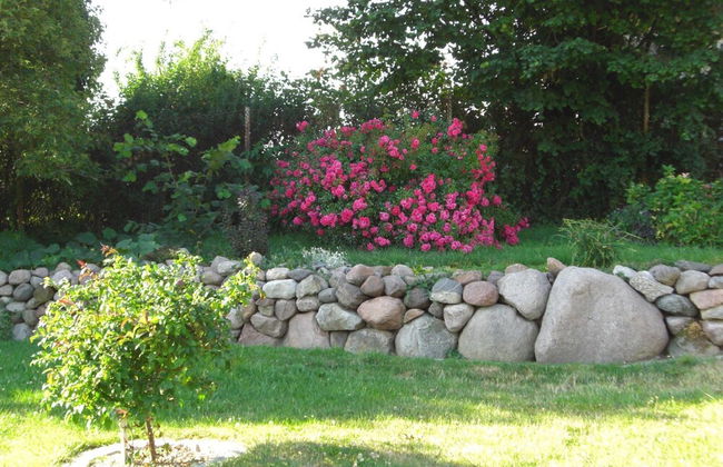 Ferienwohnung mit Garten in Zweedorf - Foto 21