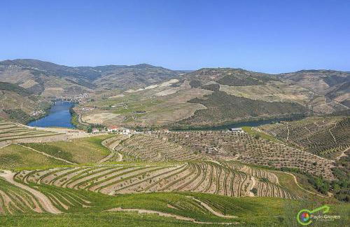 Casa da Fonte - Foto 27