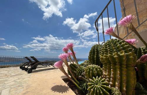 Endless Blue - Photo 13