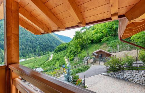 Accommodation With Wellness Center, in Val di Sole - Foto 74