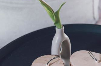 Il fienile di Rosy - Foto 27