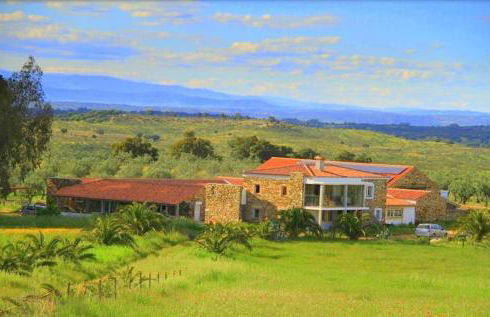 Couto dos Pardinhos - Foto 7