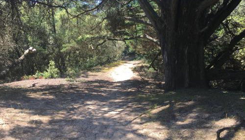 Maison de pêcheurs - Foto 2