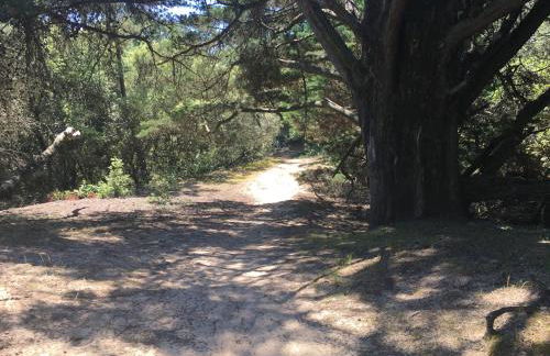 Maison de pêcheurs - Foto 2