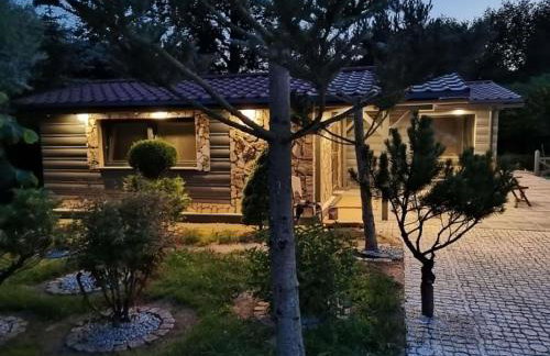 Dom na wsi, Agroturystyka BlueBeaver - Foto 24