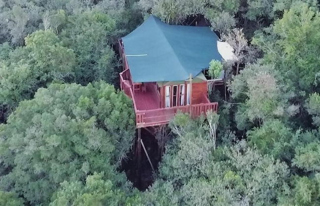 Teniqua Treetops - Foto 73