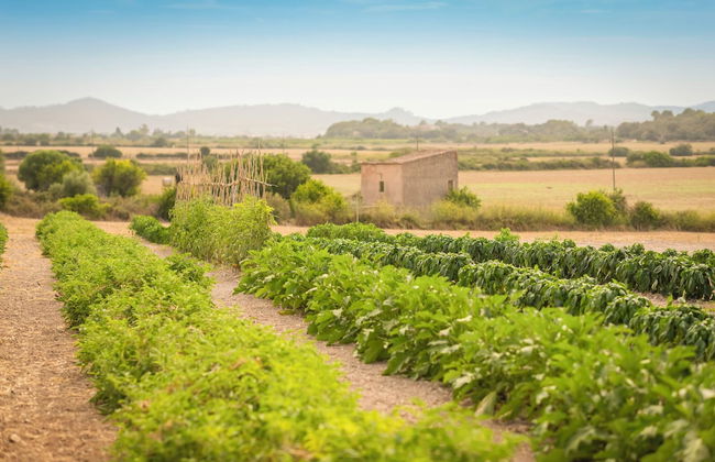 Finca Son Roig by Valentin - Foto 86