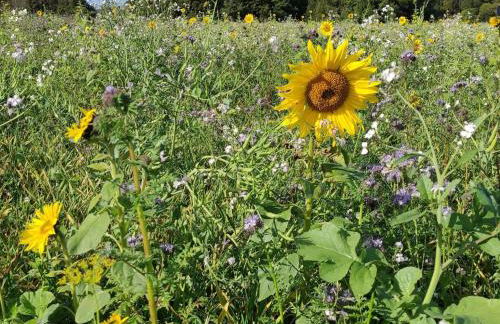 Ferienwohnung in Bissendorf - Foto 49