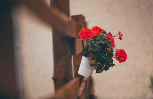 Agroturystyka Nad Łąkami - Foto 57