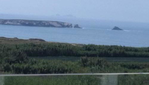 Marlin House II - Foto 3, Garden view