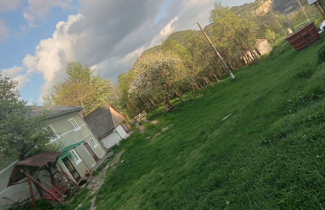 Room in Guest Room - Idylic Family Sejour With Hottube in Green Land - Photo 45