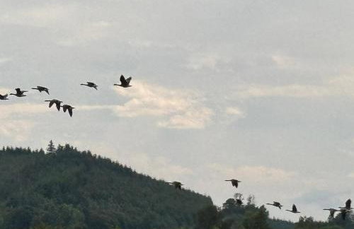 Ferienwohnung Sorpeblick - Foto 16