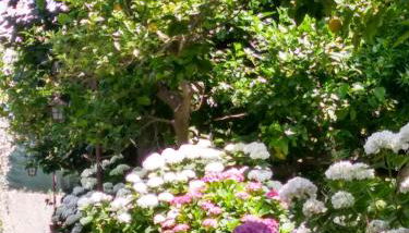 Depandance Casa Paolina - Foto 5