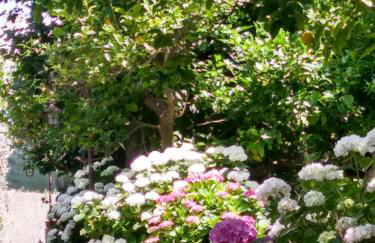 Depandance Casa Paolina - Foto 5