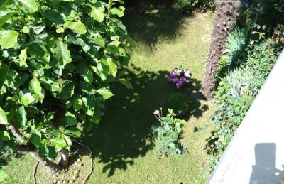 La Magnolia - Photo 35