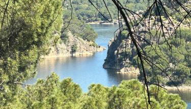 Green Harmony of Nature Apartment - Foto 2