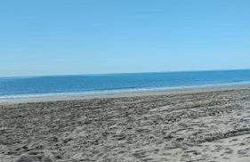 On the Beach - Foto 37