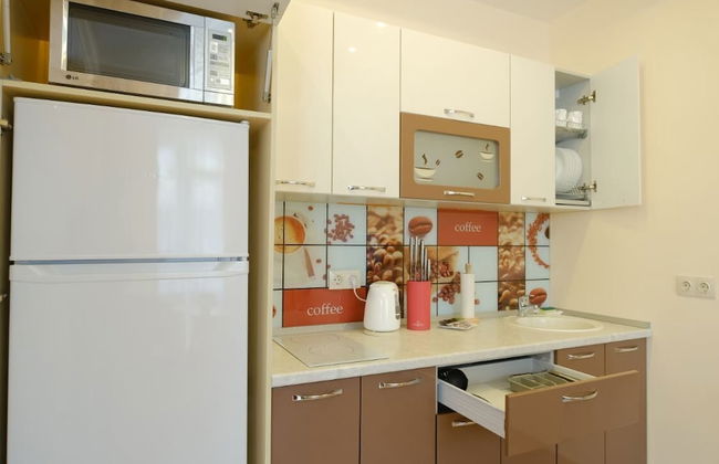 Apartment Petrovskie on Sovetskaya 108 - Foto 12