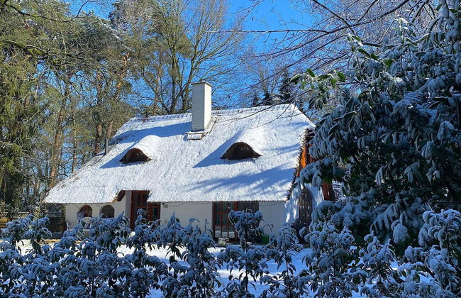 Holiday Home in Uelsen Near Bronzezeithof - Foto 35