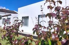 Pineapple Studio - Photo 1