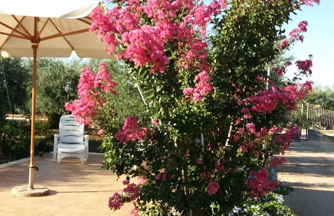 Villa Calendula - Foto 32