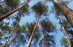 Agroturystyka Szafarnia 19 - Foto 18