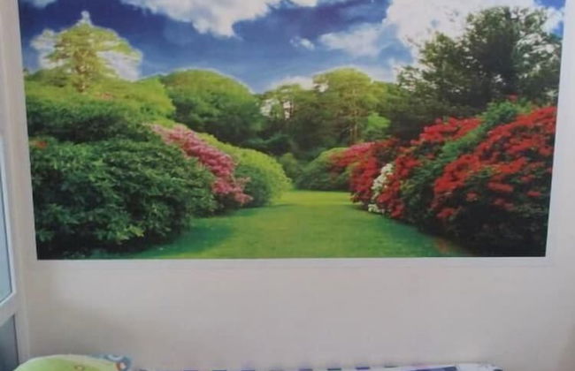 John D Staycation - Foto 4