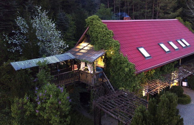 Holiday Home in Rozewko With Pool and Orchard - Photo 24