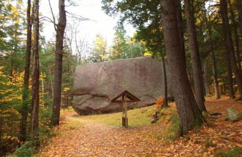 Cozy in the Woods - Foto 28