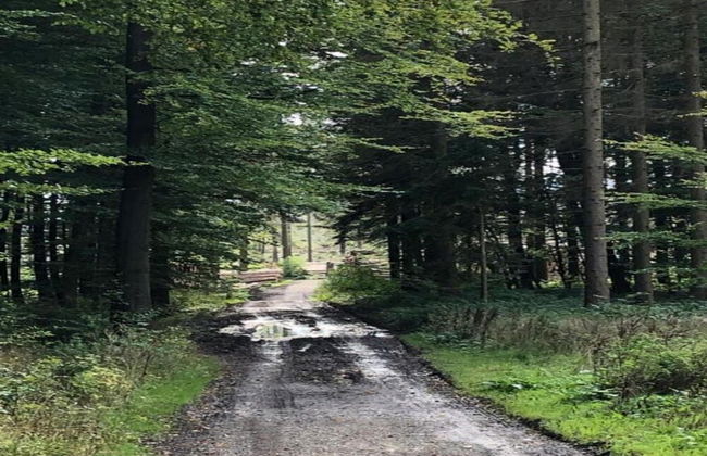 Wohnung im Teutoburger Wald Externsteine - Foto 41