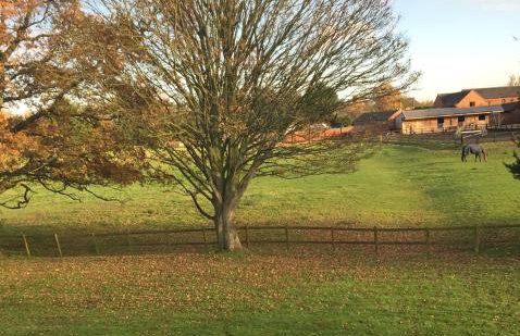 3 bedroom home with parking - Foto 14