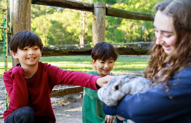 RAC Karri Valley Resort - Foto 48