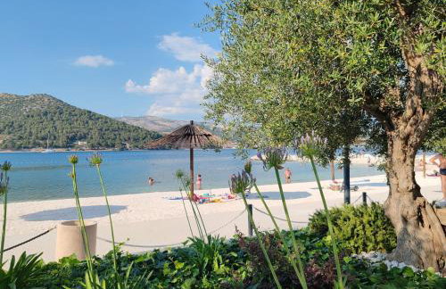 MASLINA Rogoznica NEW VILA - Foto 16