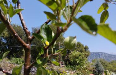 ΕΚΑLI ROOMS APARTMENTS - Foto 18