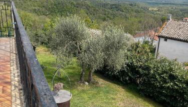 Belvedere Casa Vacanze - Foto 2, Garden